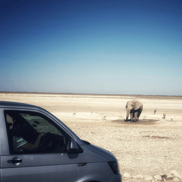 A Namibia Rental Car Guide